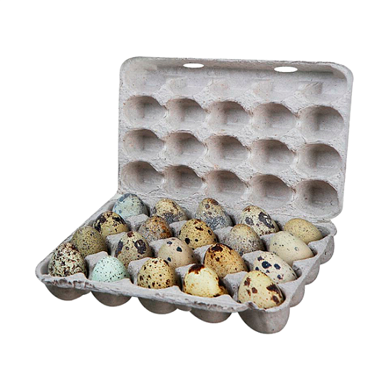 Яйцо перепелиное фермерское ( 20 шт.)
