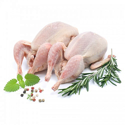 Перепел тушка фермерская замороженная (средний вес двух тушек 550 гр.) 